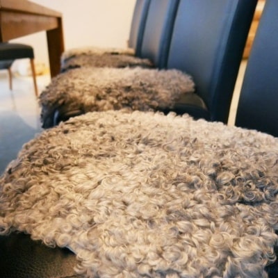 Přírodní dekorativní ovčí kůže Polský výrobce