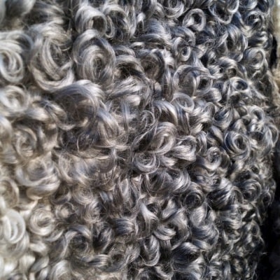 Přírodní dekorativní ovčí kůže Polský výrobce