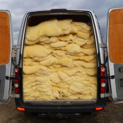 Přírodní dekorativní ovčí kůže Polský výrobce