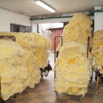 Přírodní dekorativní ovčí kůže Polský výrobce