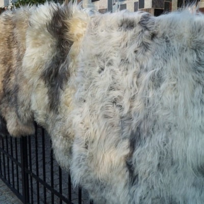 Přírodní dekorativní ovčí kůže Polský výrobce