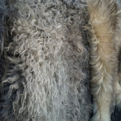 Přírodní dekorativní ovčí kůže Polský výrobce