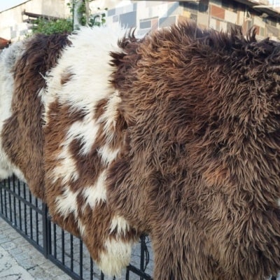 Přírodní dekorativní ovčí kůže Polský výrobce