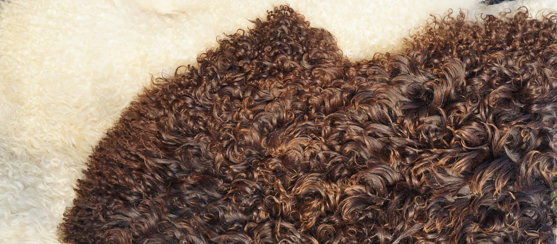 Přírodní dekorativní ovčí kůže Polský výrobce